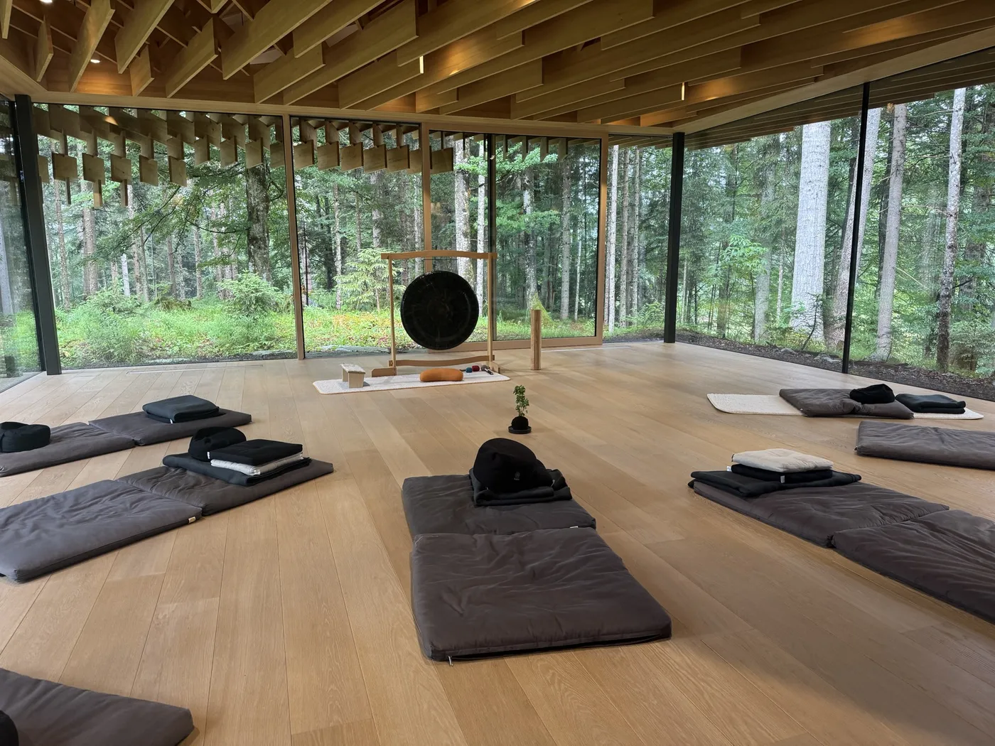 Ein heller Holzraum mit Gong und Meditationsmatten, große Fensterfront mit Blick in den Wald