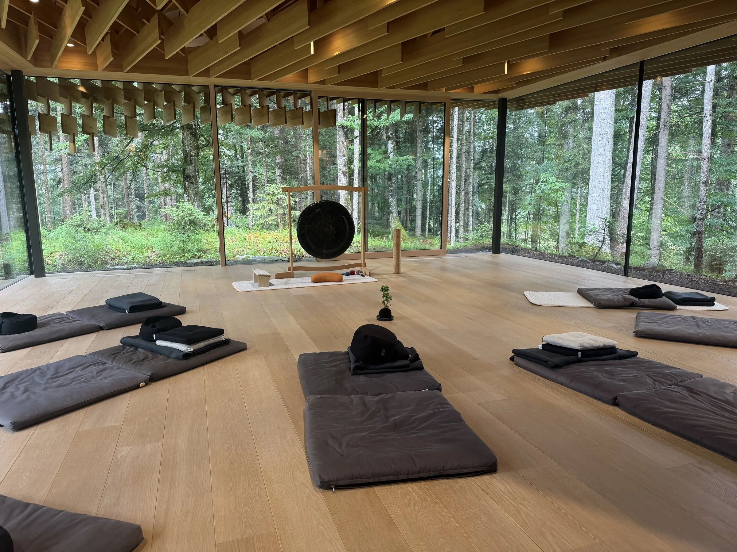 Weiter Trainingsraum aus Holz und Glas mit Blick in den Wald
