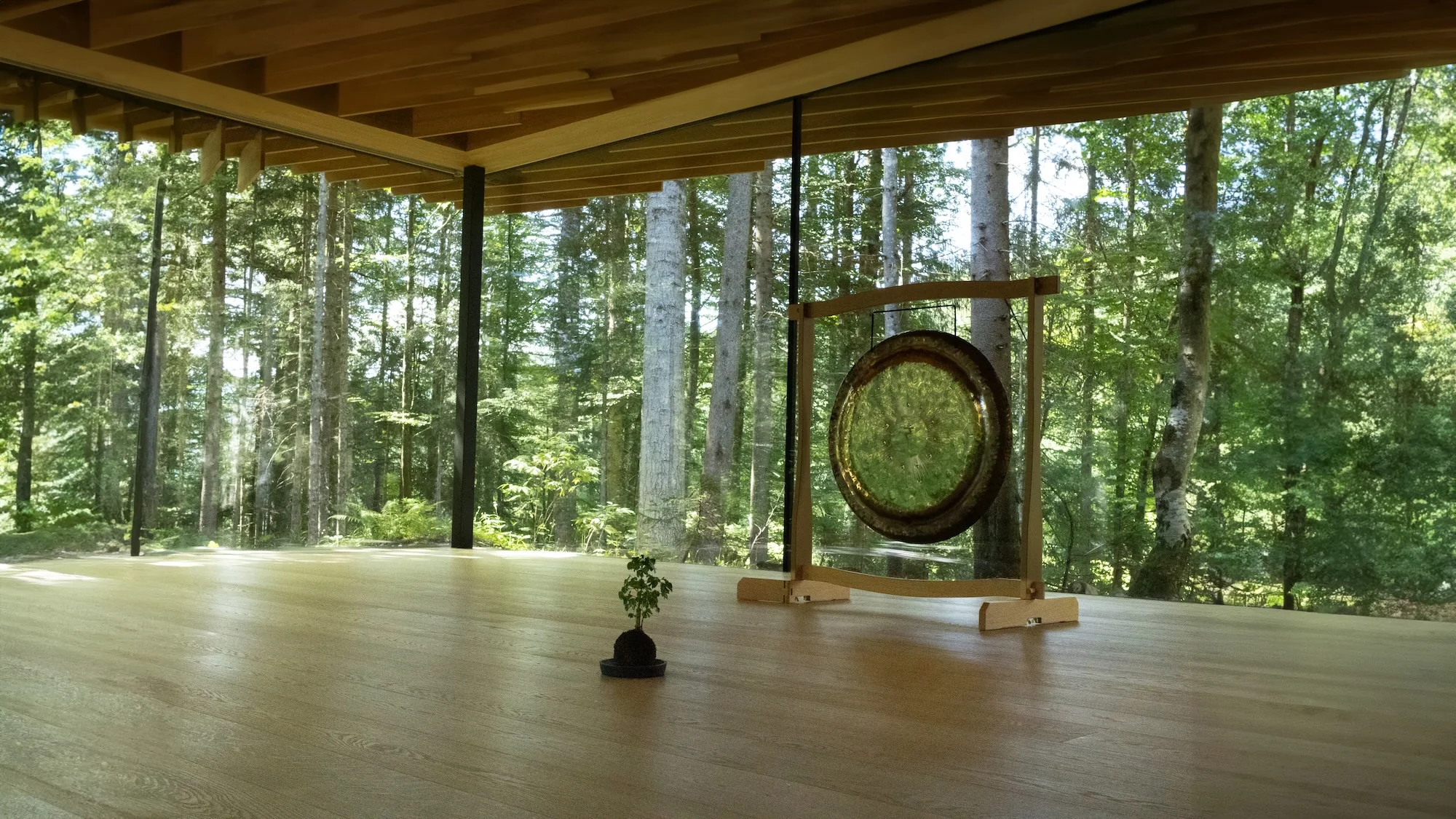 Heller Waldraum mit großer Glasfront, davor ein Gong am Bogenständer und ausgelegte Matten