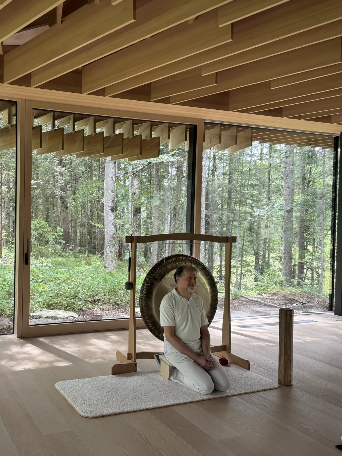 Ein Gong im Holzraum mit großer Glasfront und Blick in den Wald